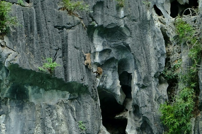 IMG_20150326_232048.JPG image