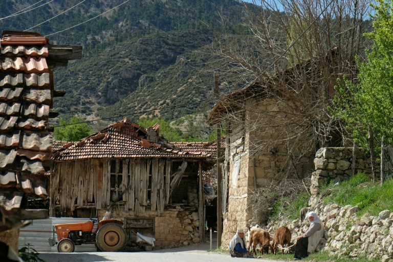 IMG_20150505_155951.JPG image