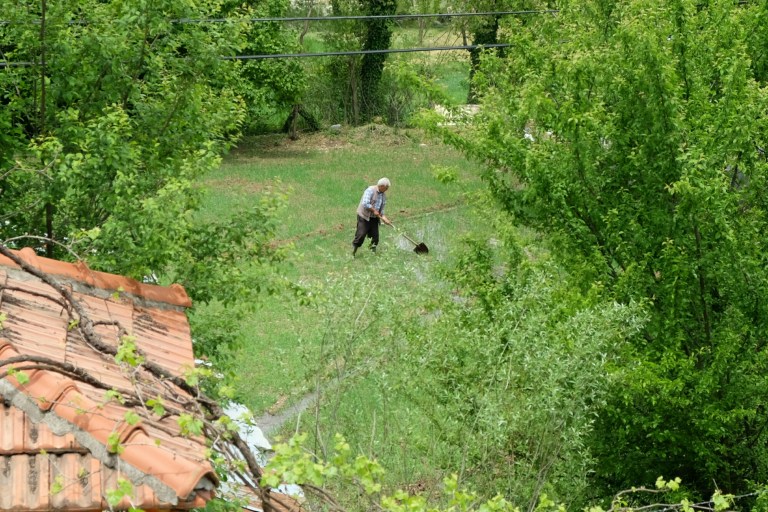 IMG_20150505_160428.JPG image