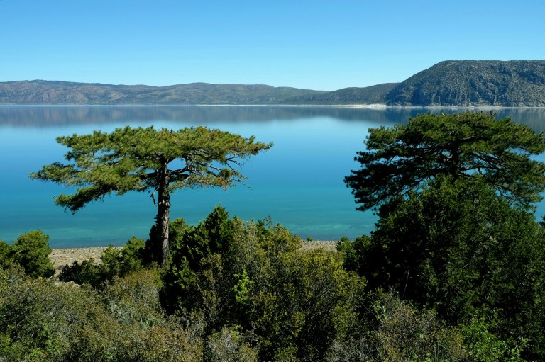 IMG_20150506_151046.JPG image