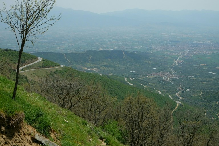 IMG_20150507_113751.JPG image