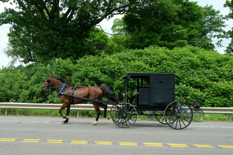 IMG_20150618_185134.JPG image