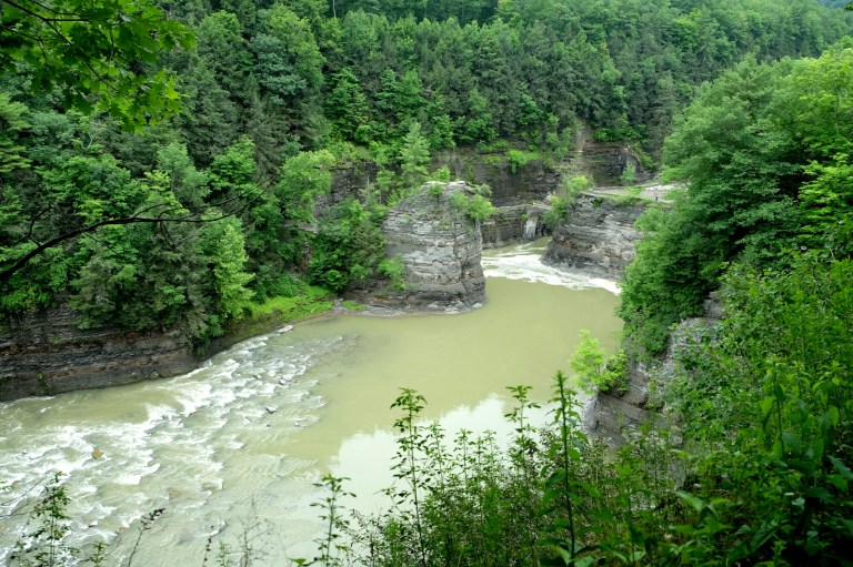 IMG_20150620_140935.JPG image