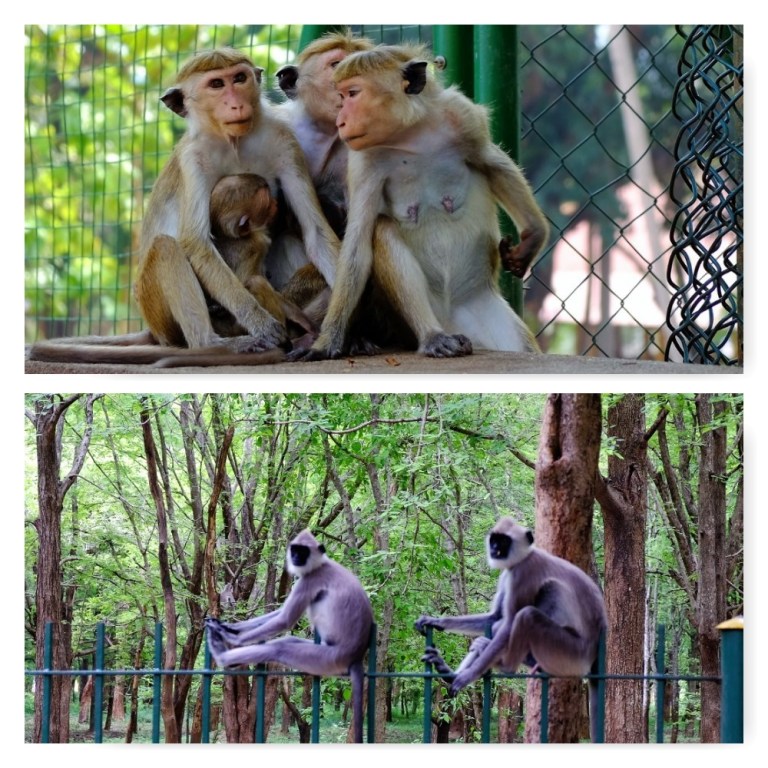 phototasticcollage-2016-11-19-07-55-38