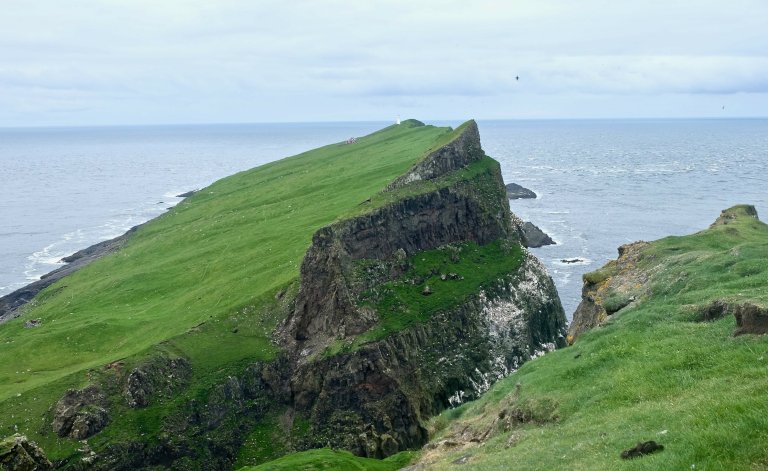 dscf2157 (1)1613879236..jpg